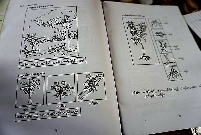 ミャンマーの理科の教科書