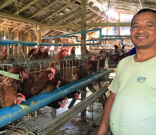 鶏小屋に立つ男性