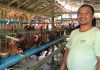 鶏小屋に立つ男性