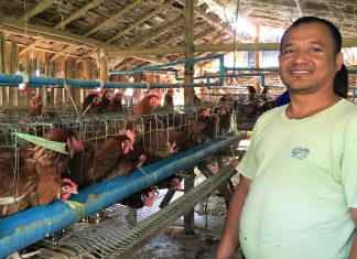 鶏小屋に立つ男性